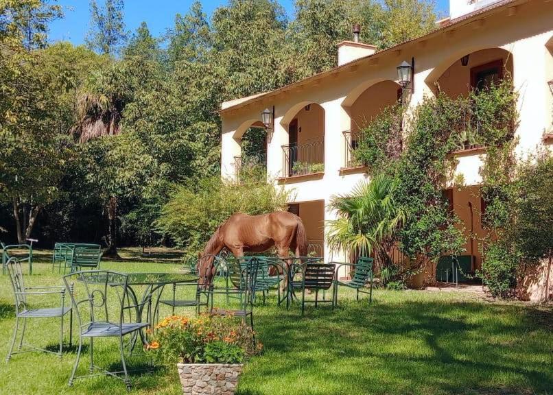 Hotel Loma Bola La Paz  외부 사진